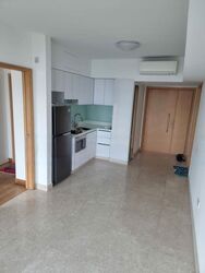 Eight Riversuites (D12), Condominium #476990891